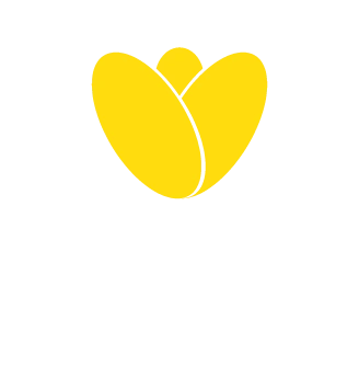 Anber Perfumería